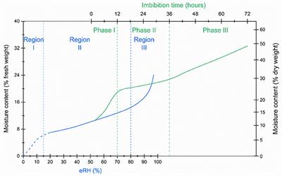 Seed Moisture Isotherms, Sorption Models, and Longevity